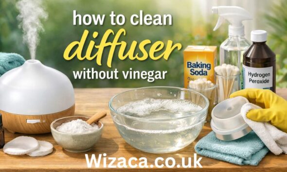 how to clean diffuser without vinegar