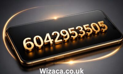 6042953505