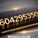 6042953505
